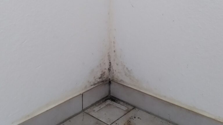 Lire la suite à propos de l’article Humidité ambiante vs moisissures