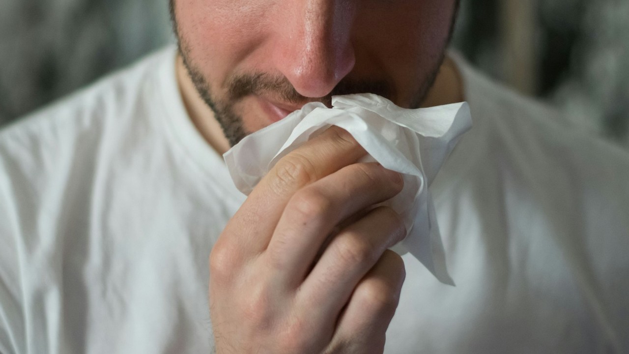 Lire la suite à propos de l’article Ventilation douce et allergies